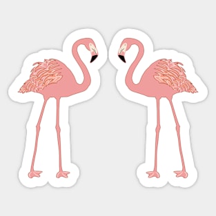 Flamingos, tropical, artwork, island, tropics, nature, gifts Sticker